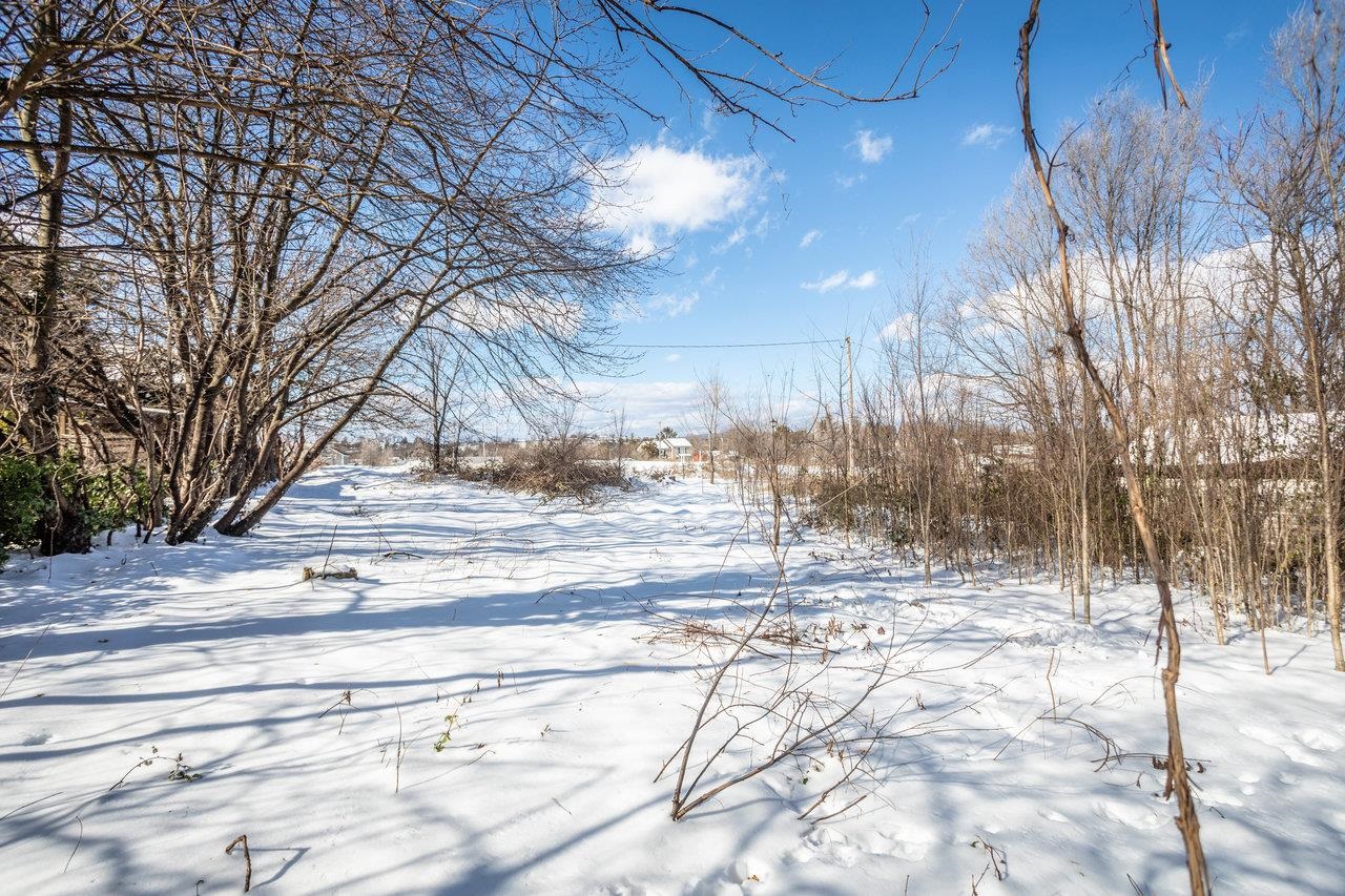 924 Collicello Street Harrisonburg, VA 22802 - Photo 6 of 21 a view of road with trees