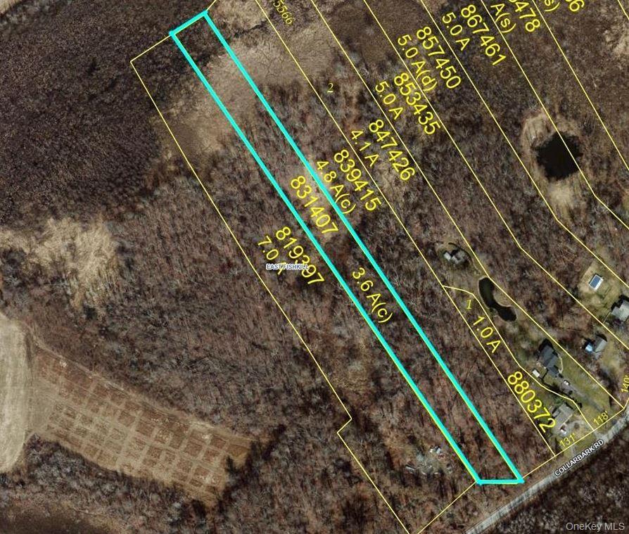 a view of a backyard with a street