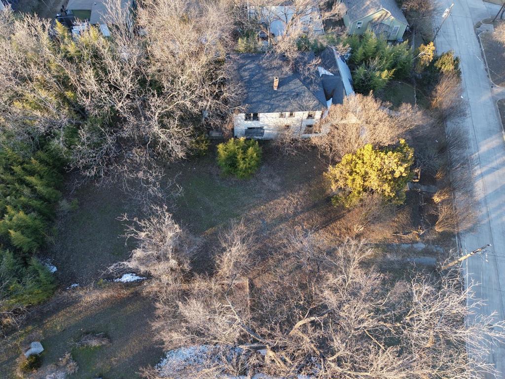 a picture of flowers