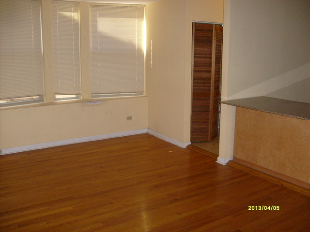 4810 South Prairie Avenue, Unit 2N Chicago, IL 60615 - Photo 13 of 15 an empty room with wooden floor