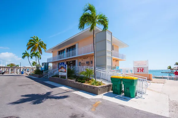a view of outdoor space with palm trees
