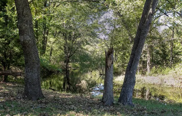 $6,200 | 16300 County Road 255, Terrell, TX 75160