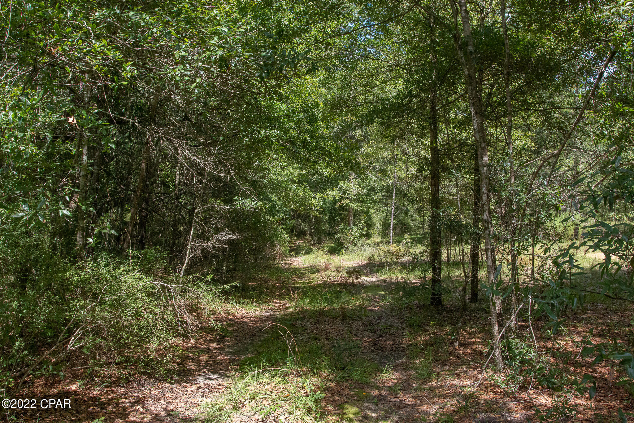 0 Tobe Retherford Road Bonifay, FL 32425 - Photo 8 of 9 Gallery Image 8