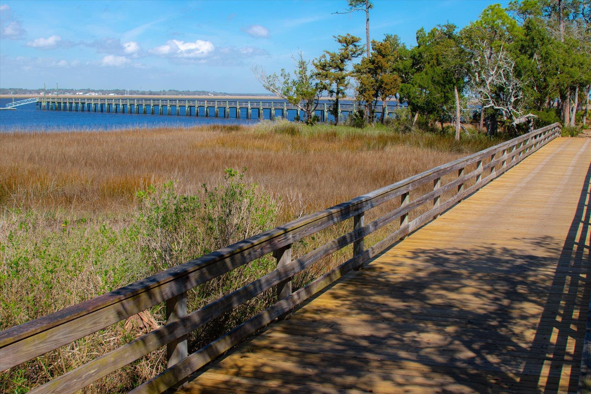 29318 Grandview Manor Yulee, FL 32097 - Photo 56 of 68 View of home's community featuring a water view and a pier