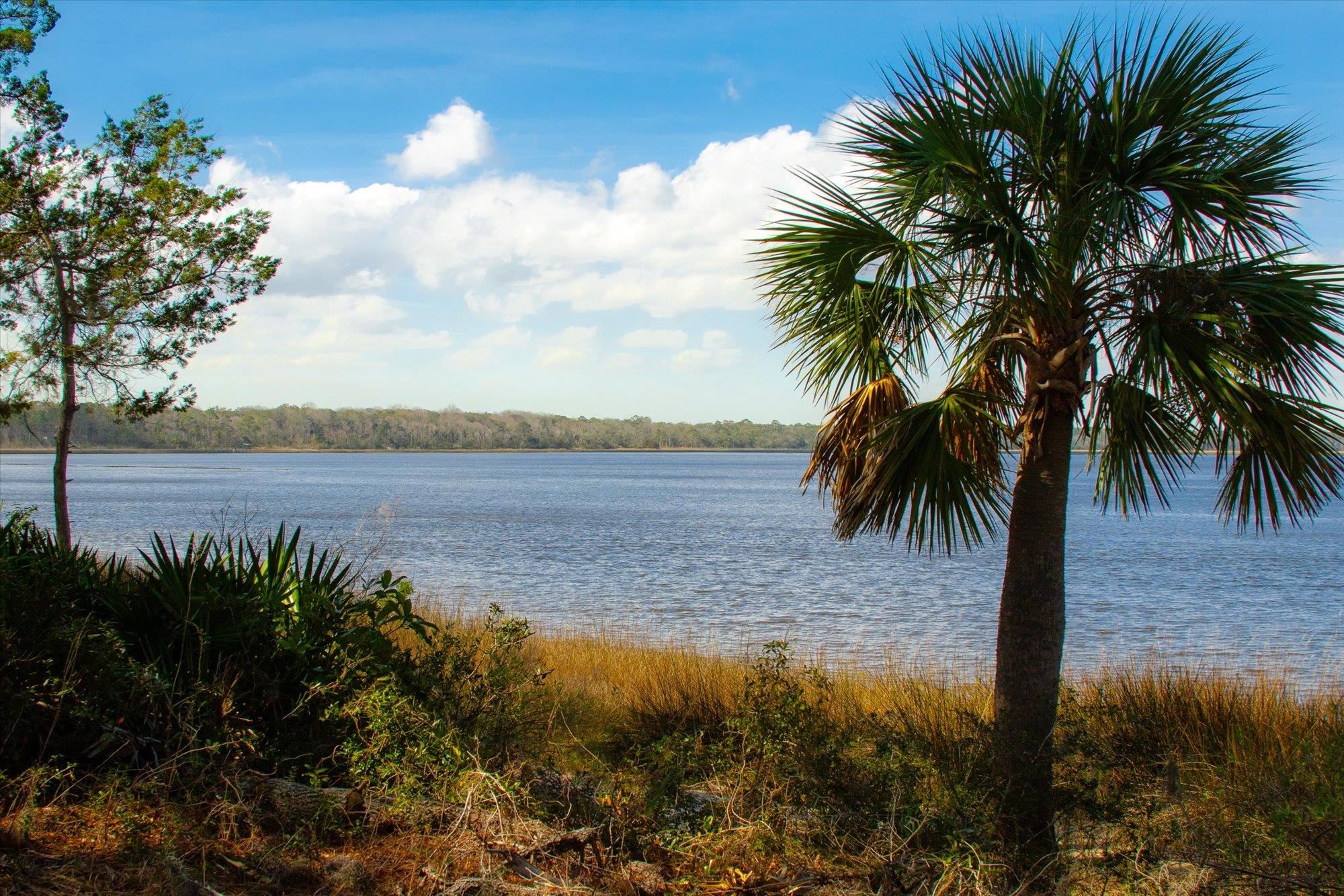29318 Grandview Manor Yulee, FL 32097 - Photo 60 of 68 Water view with a heavily wooded area