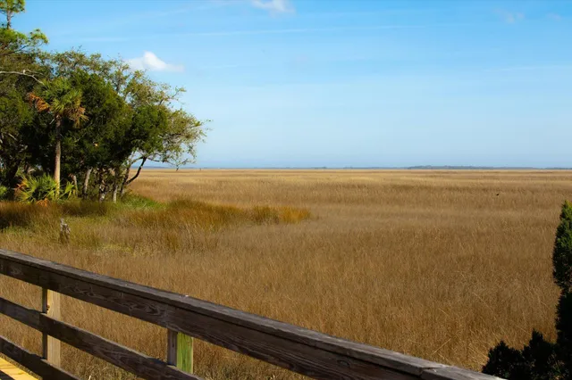 a view of a house with a yard and potted plants