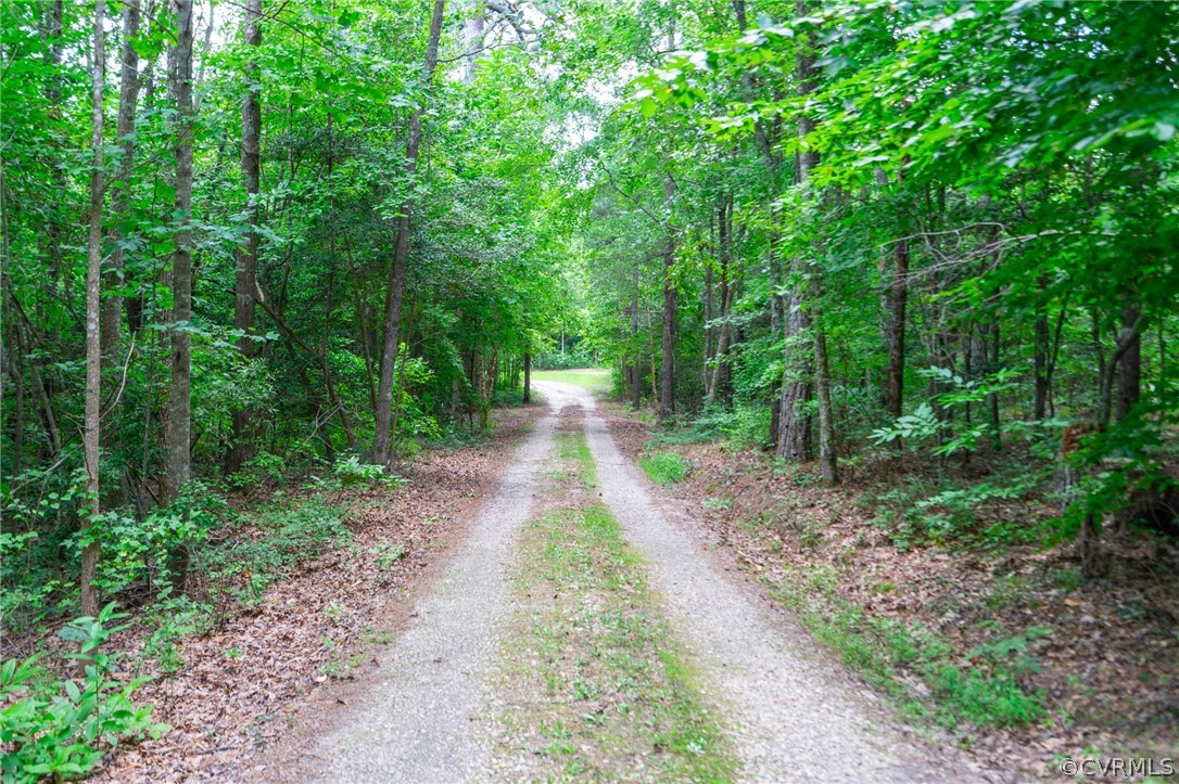 17000 Jolly Road Disputanta, VA 23842 - Photo 50 of 50 Serene Private Driveway
