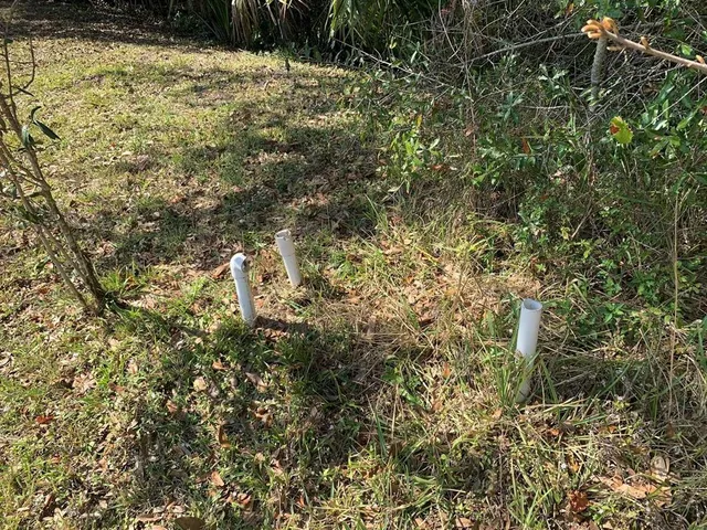 a view of a yard with plants and trees