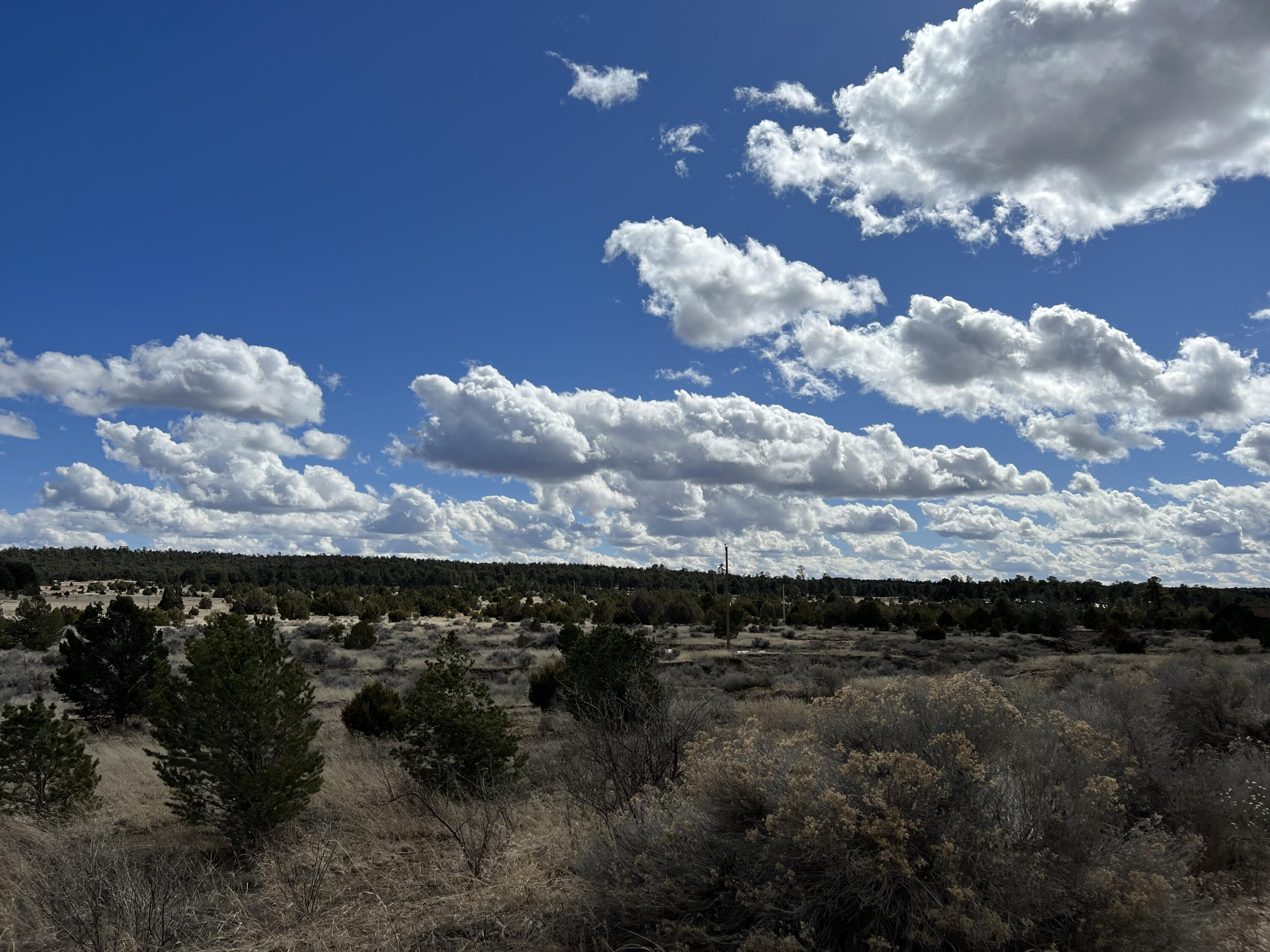 Lot 14 Candy Kitchen Road Ramah, NM 87357 - Photo 22 of 41 Gallery Image 22