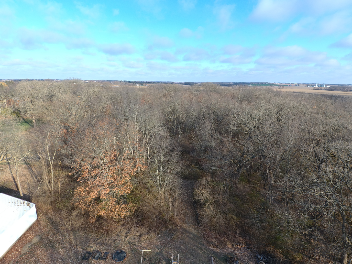 15291 Beaverton Road Poplar Grove, IL 61065 - Photo 5 of 37 a view of a dry yard with wooden floor and fence
