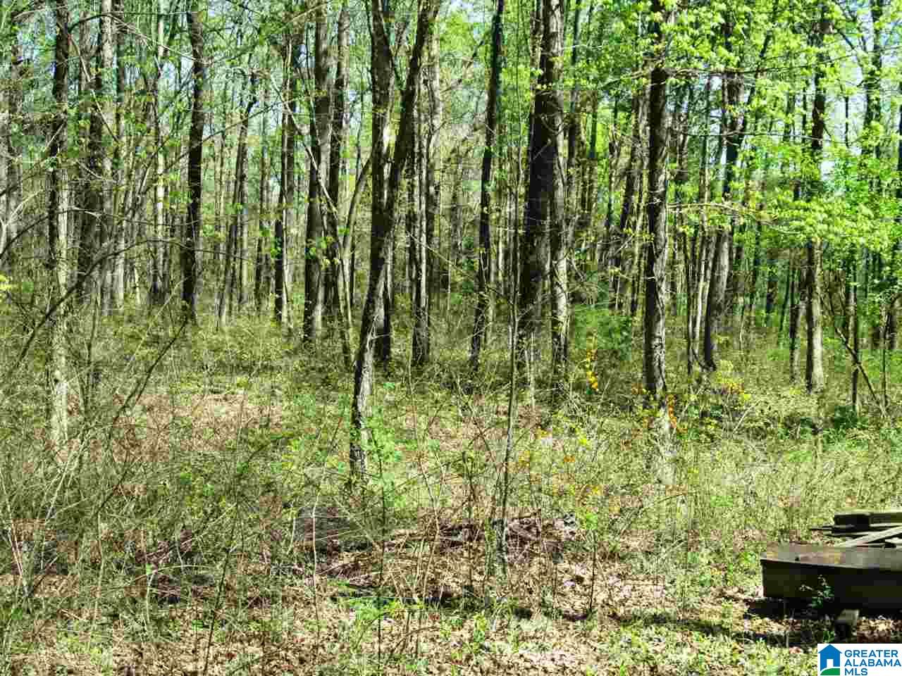 5550 Crawford Cove Road Steele, AL 35987 - Photo 9 of 36