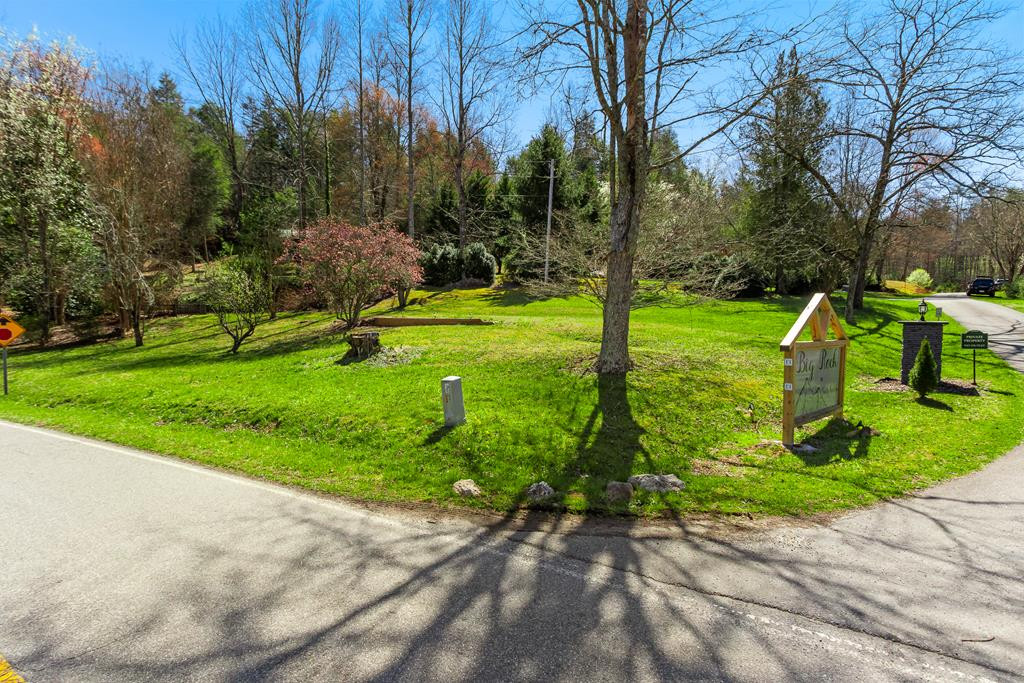 22 Mint Lane Murphy, NC 28906 - Photo 50 of 53