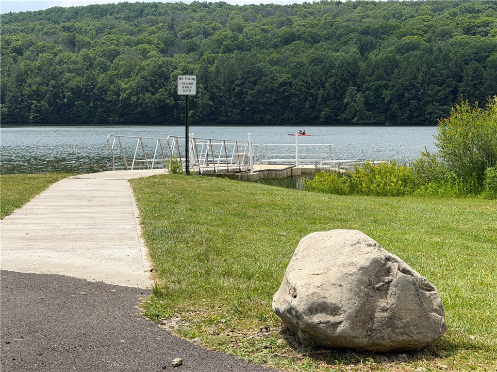 Vl Vl Lyndon Abbott Road Franklinville, NY 14737 - Photo 39 of 50