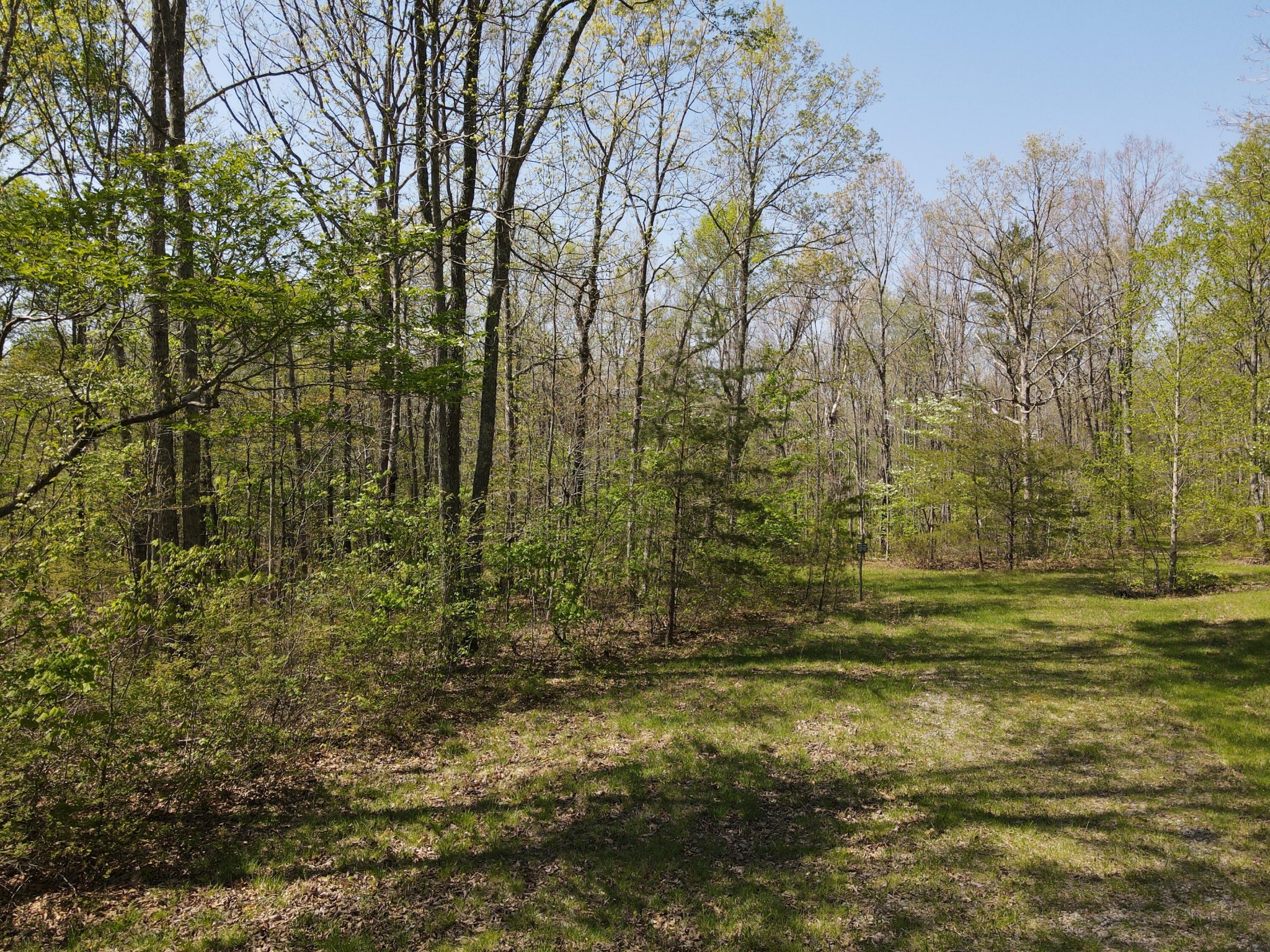 60 Hideaway Cabin Road Altamont, TN 37301 - Photo 1 of 31 Gallery Image 1