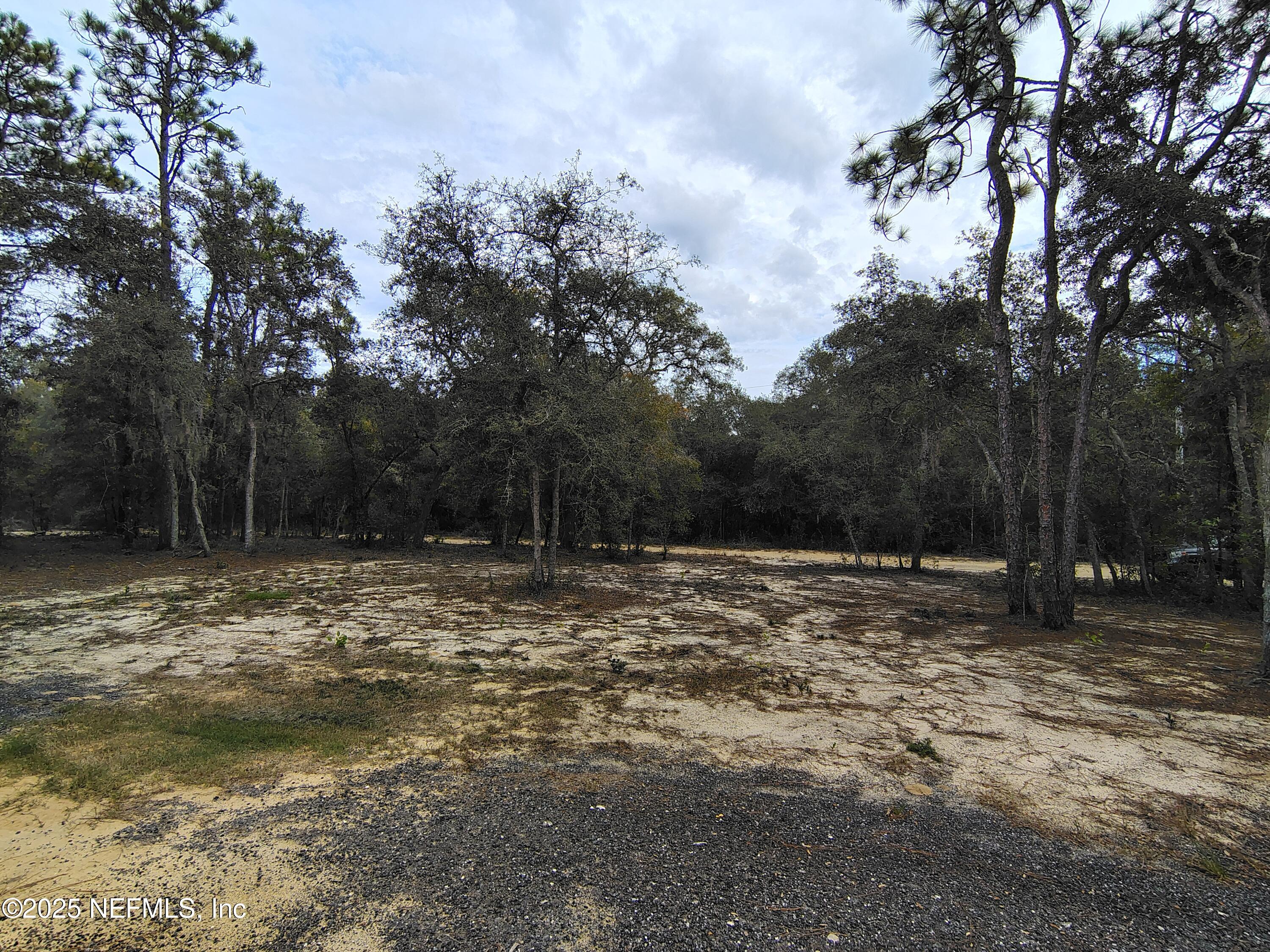 191 Kay Street Interlachen, FL 32148 - Photo 26 of 27 IMG_20251108_105957171_HDR