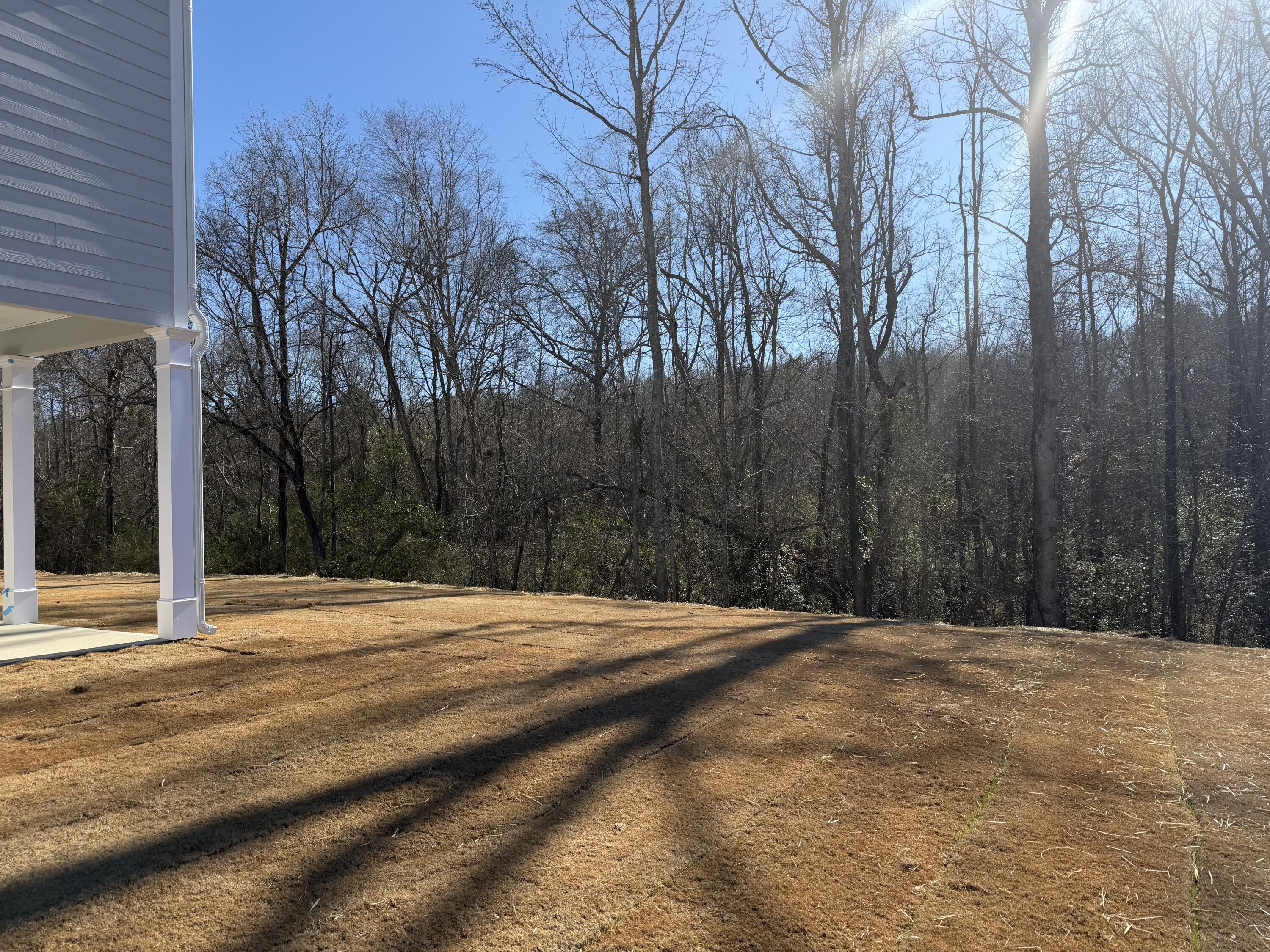 1307 Elias Street Thomson, GA 30824 - Photo 8 of 33 IMG_4082