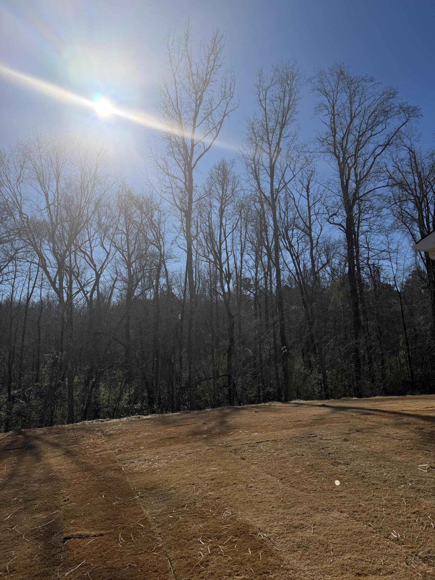 1307 Elias Street Thomson, GA 30824 - Photo 9 of 33 IMG_4084