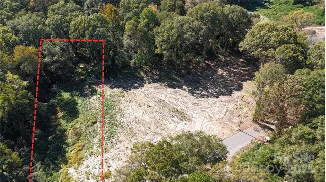 a view of a yard covered by trees