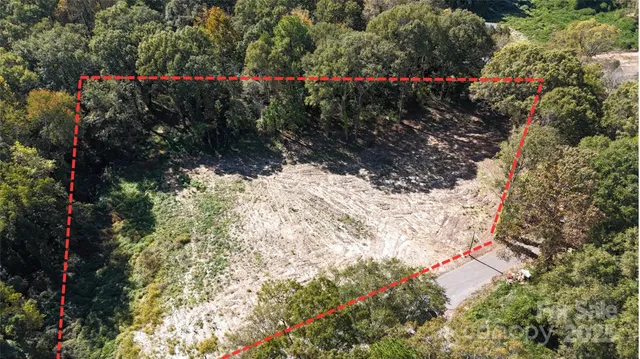 a view of a garden with flowers