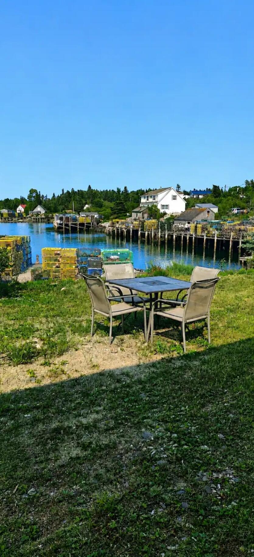 79 Mill Pond Road Beals, ME 04611 - Photo 2 of 60 backyard