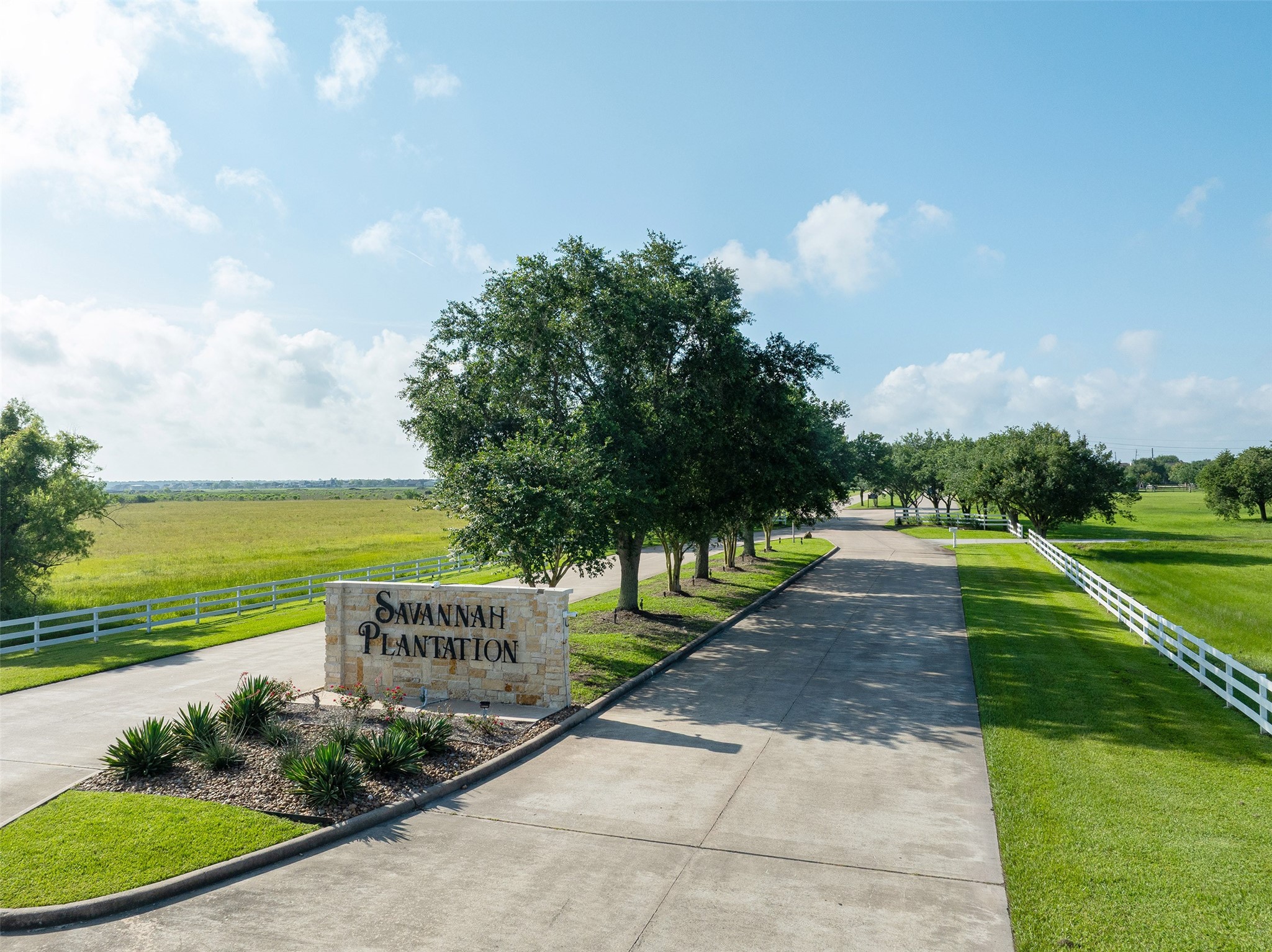 7706 Pebble Hill Lane Rosharon, TX 77583 - Photo 15 of 16 a view of a garden with a fountain