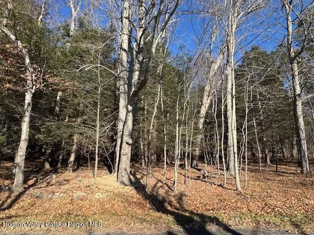 a view of a yard with trees
