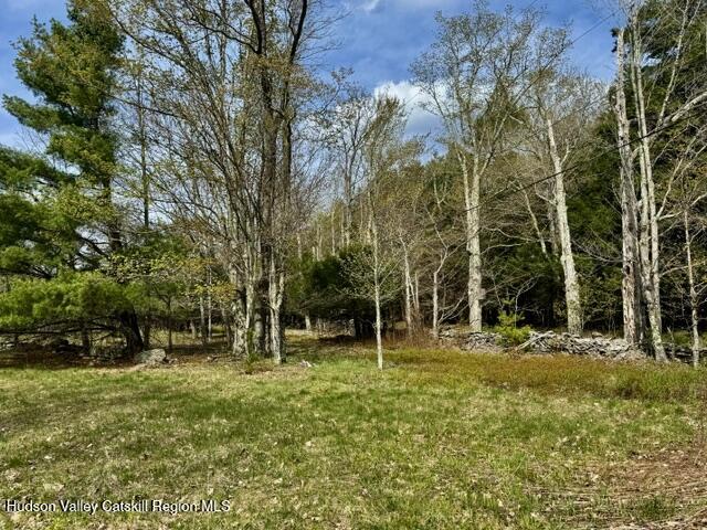 Tbd Tbd Park Road Prattsville, NY 12468 - Photo 2 of 9 a backyard of a house with lots of green space