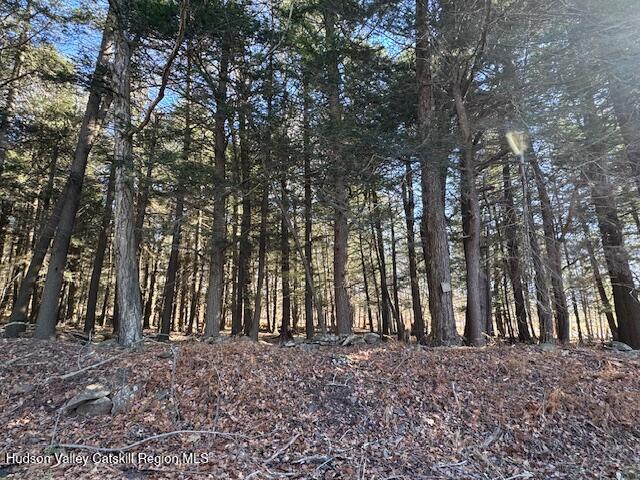 Tbd Tbd Park Road Prattsville, NY 12468 - Photo 2 of 11 a view of outdoor space with lots of trees