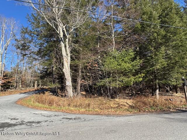 Tbd Tbd Park Road Prattsville, NY 12468 - Photo 3 of 11 a view of outdoor space and yard