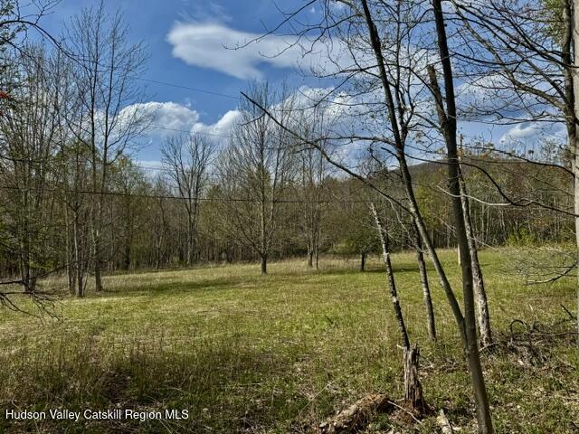 Tbd Tbd Park Road Prattsville, NY 12468 - Photo 3 of 9 a view of outdoor space with trees
