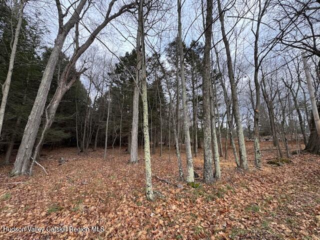 Tbd Tbd Park Road Prattsville, NY 12468 - Photo 5 of 11 a backyard of a house with lots of green space