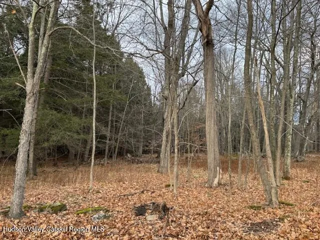 a backyard of a house with lots of plants and large trees