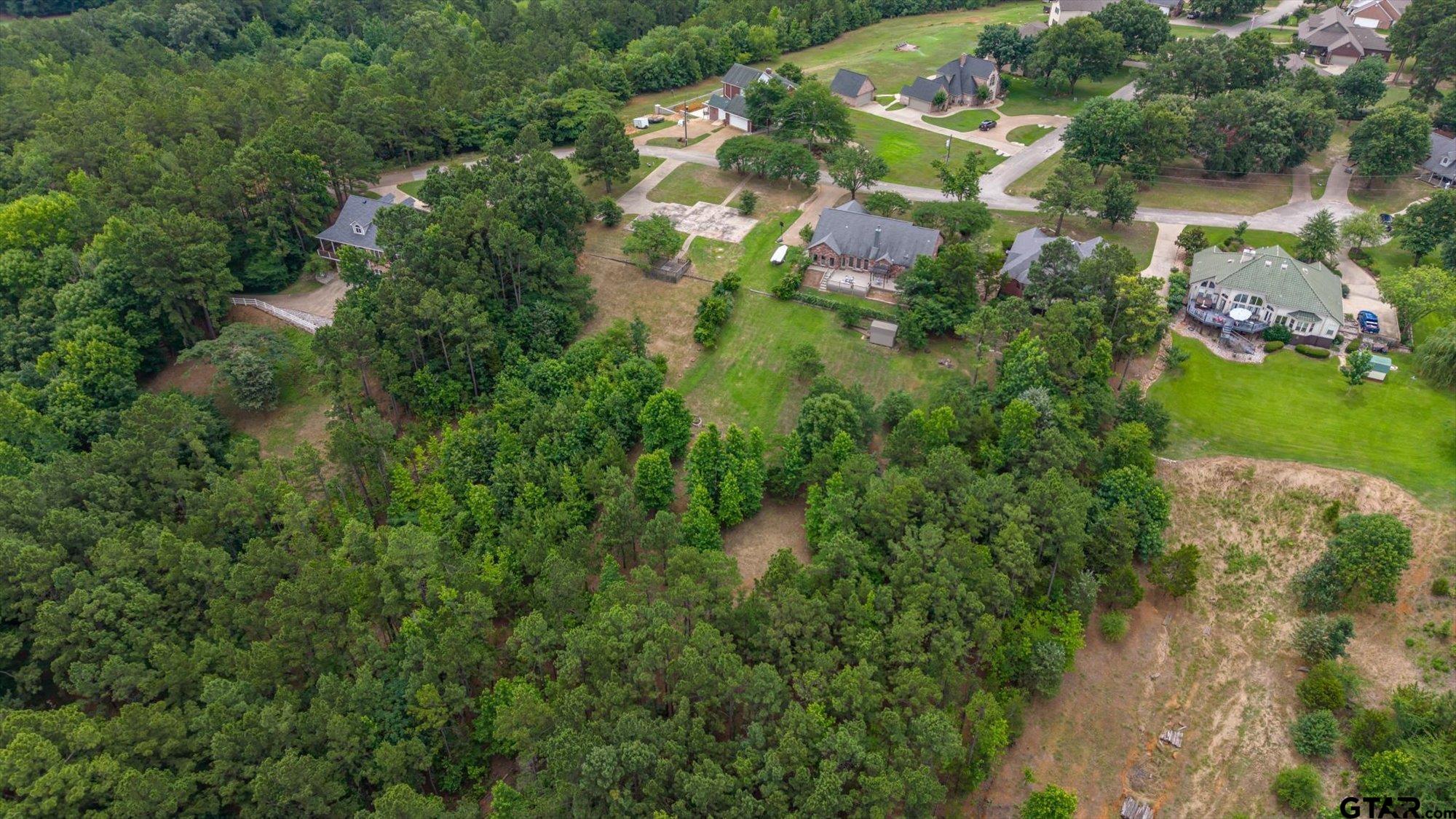 16123 Steep Road Brownsboro, TX 75756 - Photo 4 of 44
