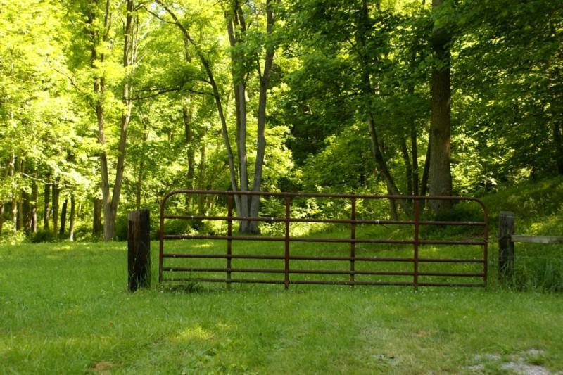 24880 Dunlap Road Rockbridge, OH 43149 - Photo 56 of 65 Gallery Image 56