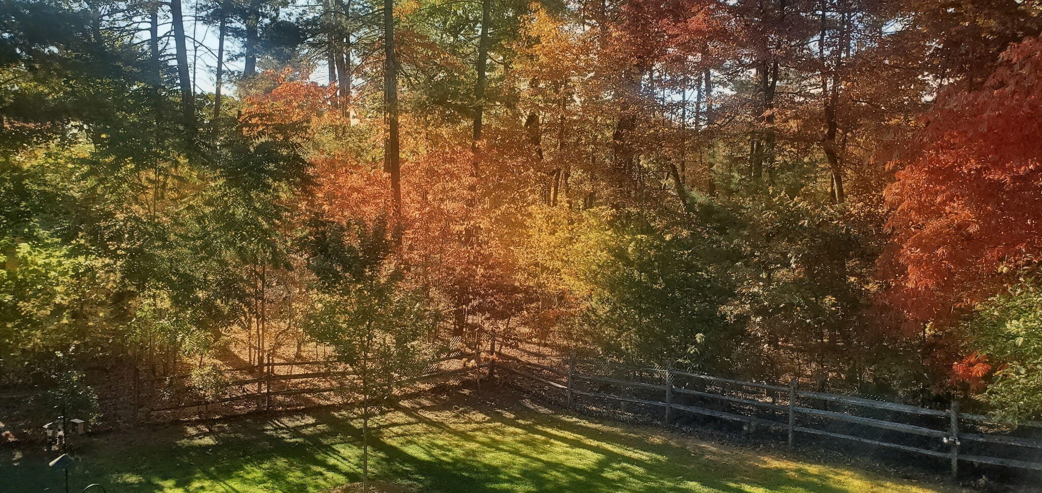 137 Shanleys Loop Ferrum, VA 24088 - Photo 45 of 47 Fall Foliage