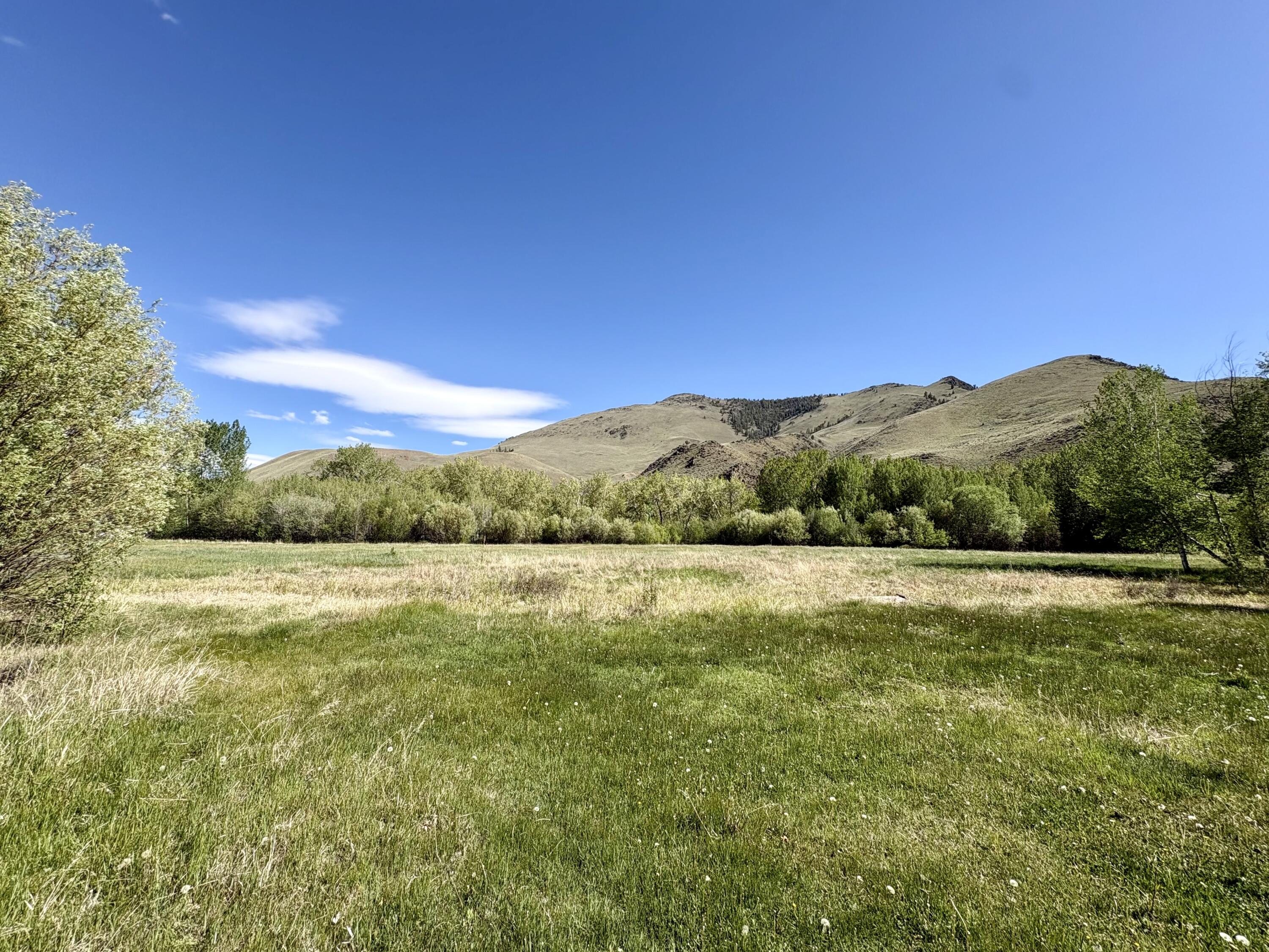 9885 Challis Creek Road Challis, ID 83226 - Photo 56 of 61 9885 Challis Creek Rd, Challis
