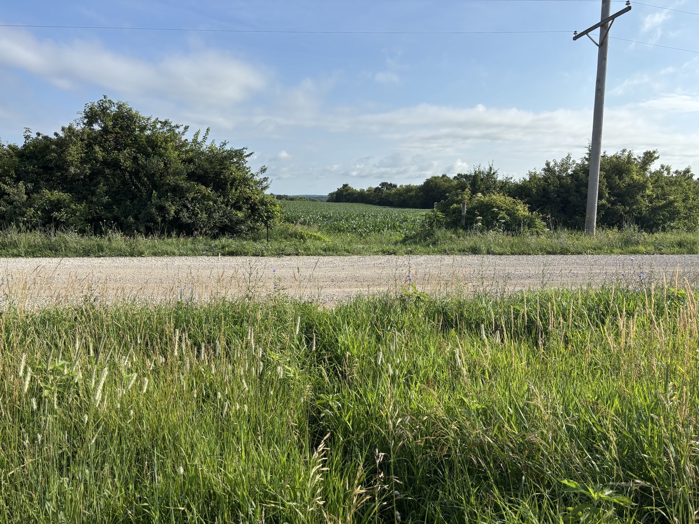 0 Streit Road Harvard, IL 60033 - Photo 2 of 7