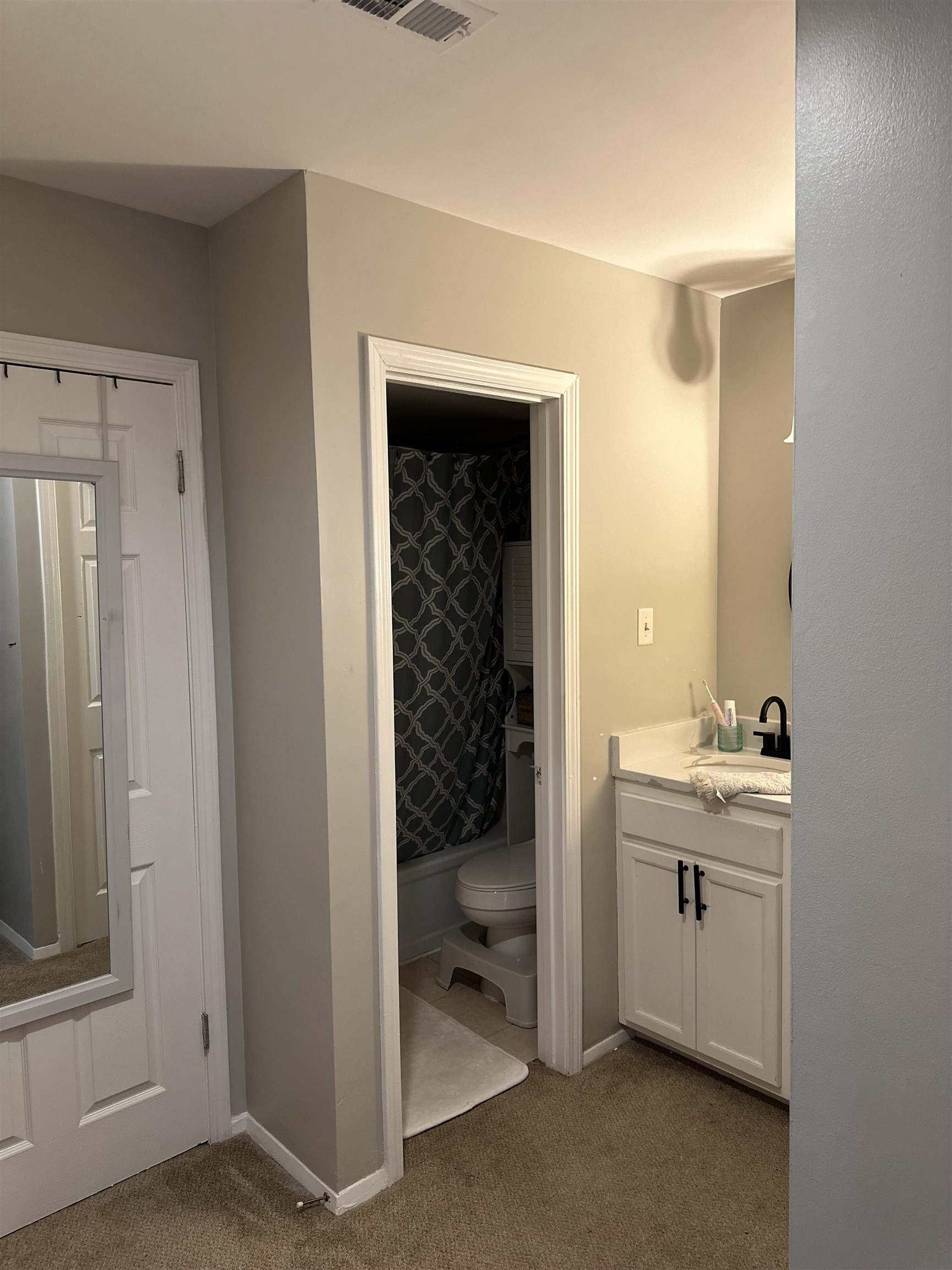 3081 Rising Sun Road, Unit 46 Lakeland, TN 38002 - Photo 17 of 30 a bathroom with a toilet sink and mirror