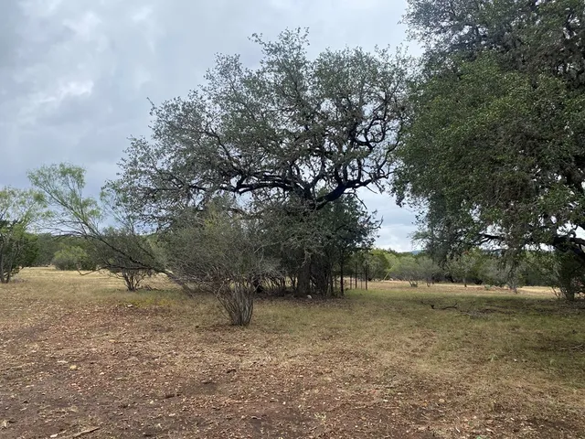 a view of backyard with green space