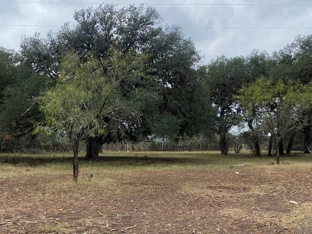 a view of backyard with outdoor space