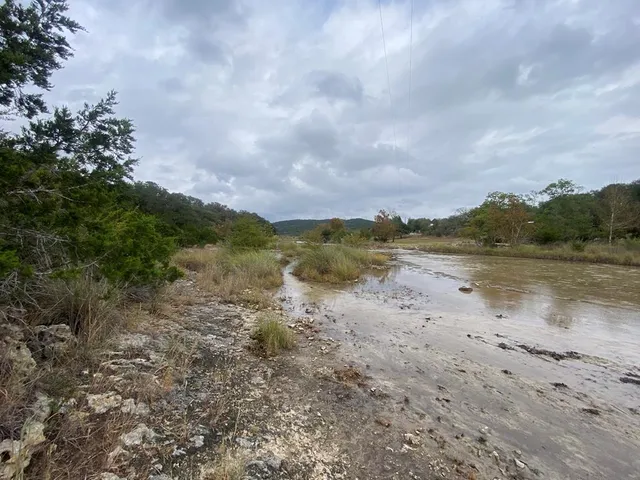 a view of backyard with green space