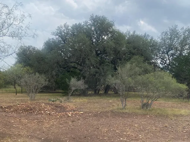 a view of a field with trees in background