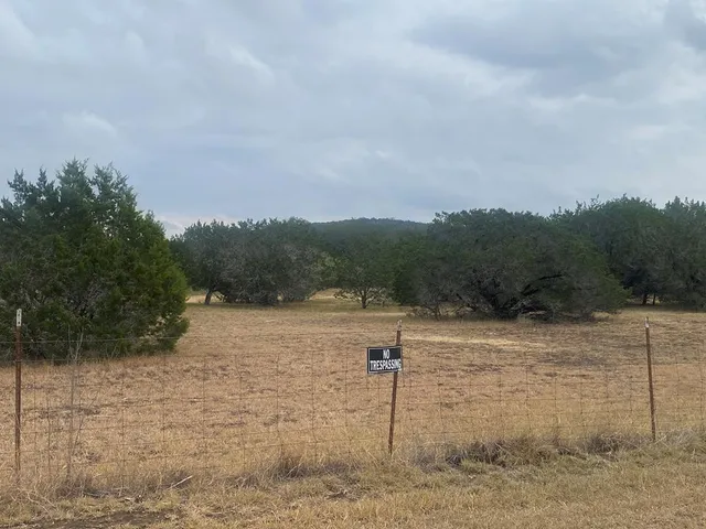a view of a dry yard with trees