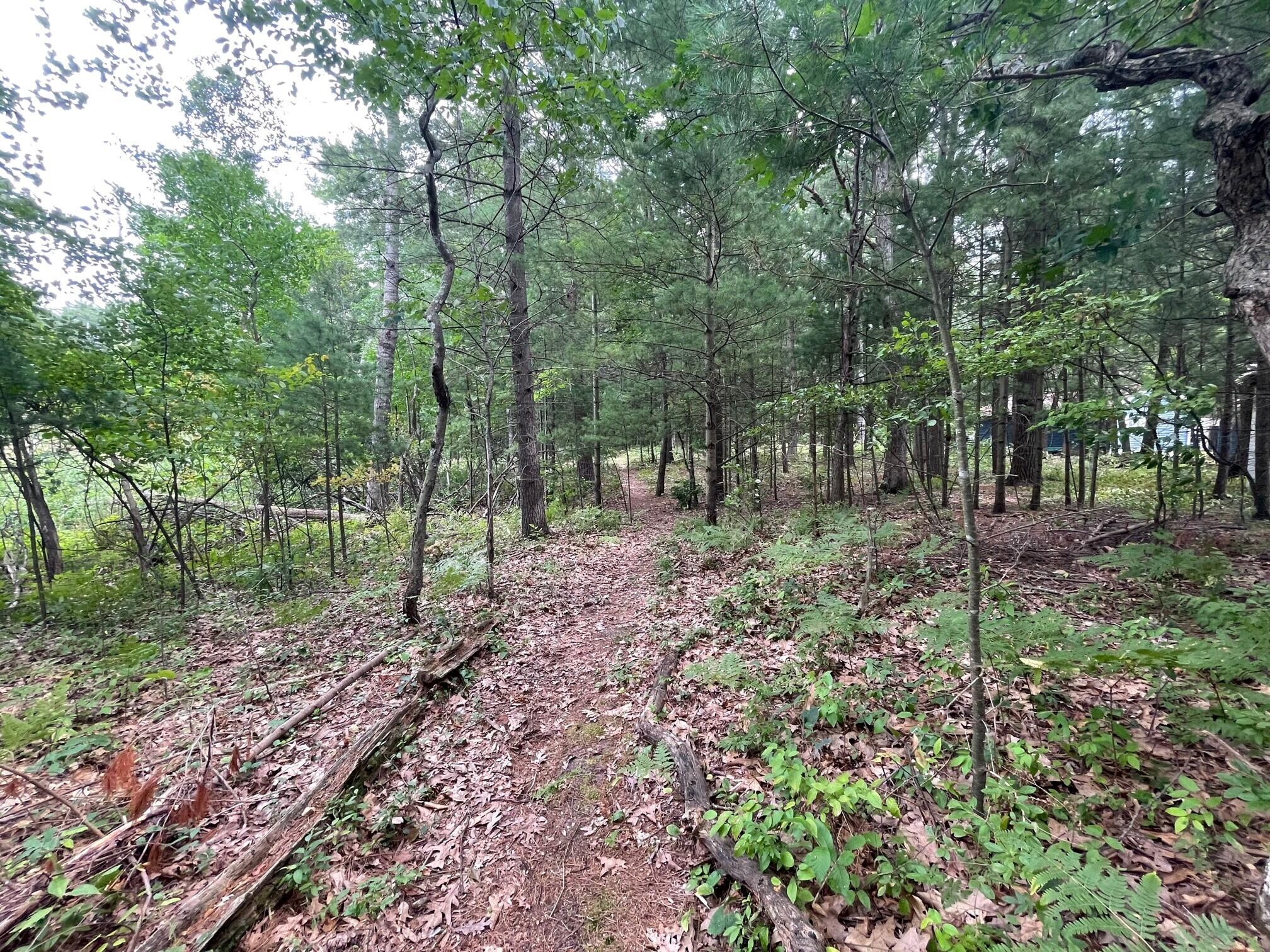 181 South Taylor Road Branch, MI 49402 - Photo 66 of 67 Trail