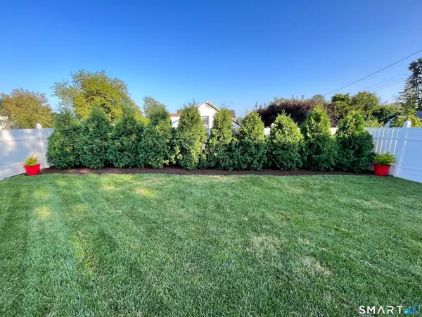 a view of a yard with an tree