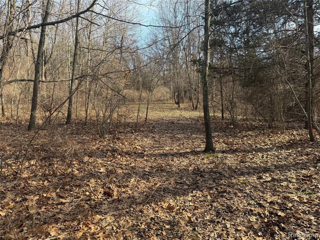 2096 Hunter Road Brighton, MI 48114 - Photo 6 of 9