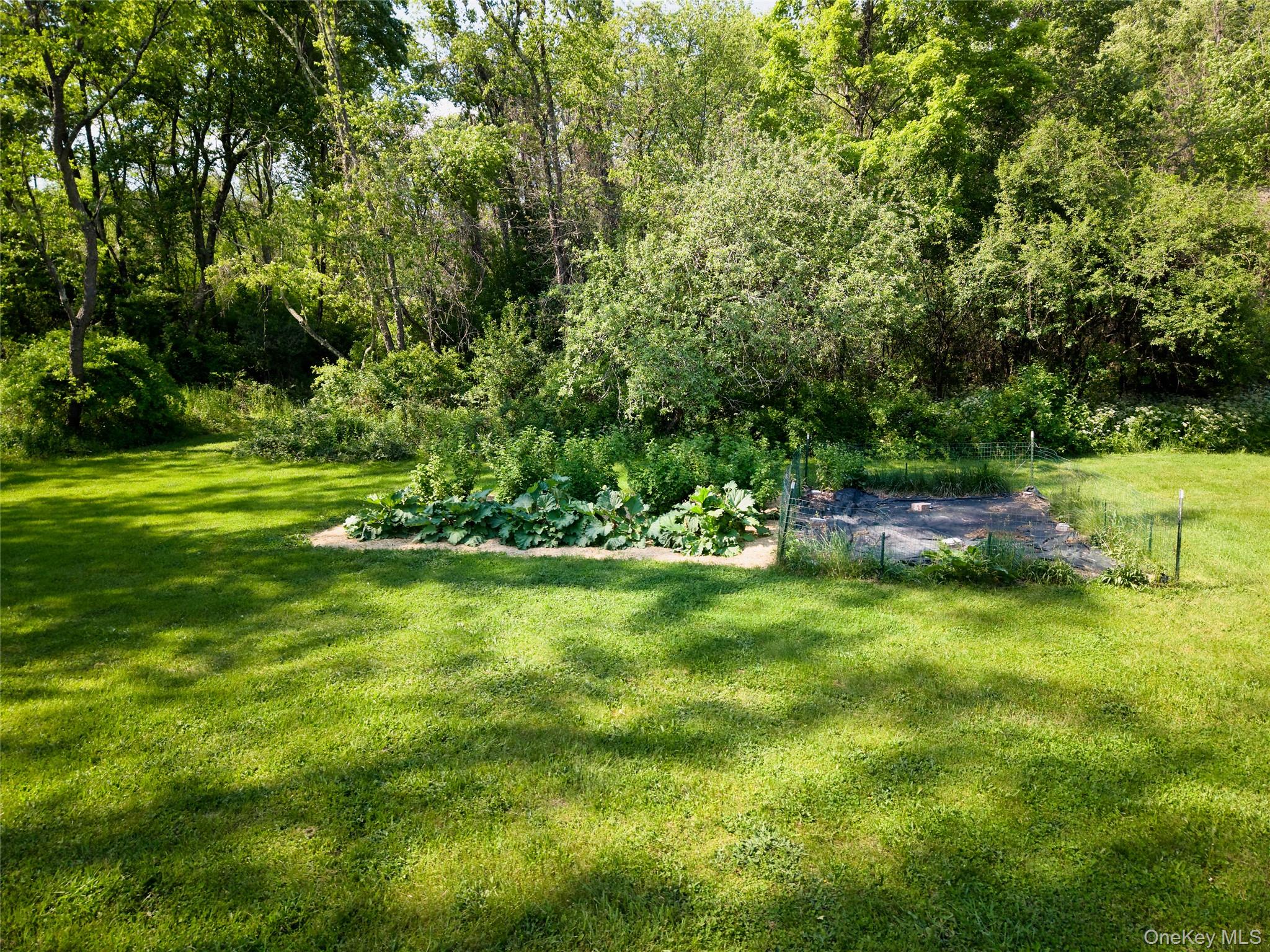 125 Smith Road Pleasant Valley, NY 12569 - Photo 34 of 45 Fresh from the Garden