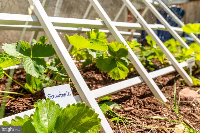 $1,369,000 | 4711 Oliver Street, Riverdale, MD 20737