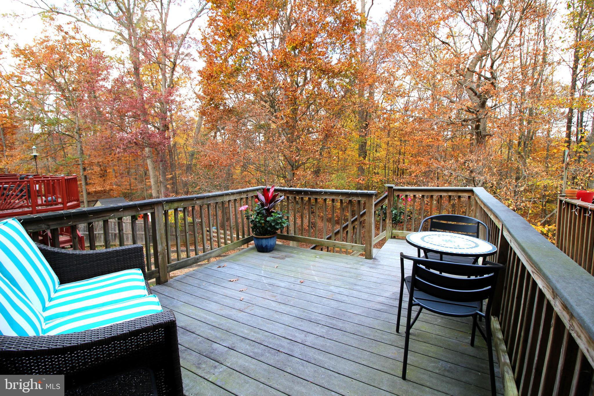 3140 Hidden Ridge Terrace Abingdon, MD 21009 - Photo 22 of 24