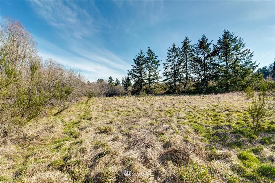 105-xx Southwest Cove Road Vashon, WA 98070 - Photo 8 of 25